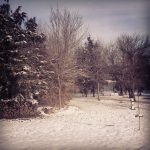 LakewoodSnowDay