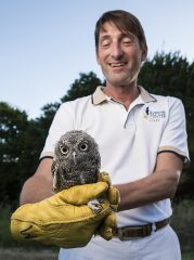 Erich Neupert prepares to release a recently rehabilitated screech owl near White Rock Lake, a popular release point. (Photo by Danny Fulgencio)