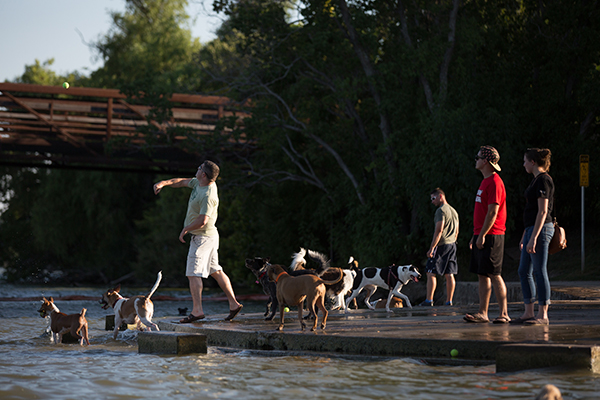 The White Rock Dog Park serves as an active social setting for East Dallas residents and patrons. (Photo by Rasy Ran)