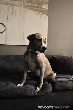 07_10_ED_Cover_Taraand_opt2