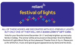 Festival_of_lights_w_houses_vote_pageHEADER