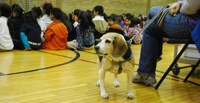 This pup from DFW Rescue Me helps teach kids to respect animals. Photo by Lacey Phillips 
