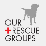 rescue_group