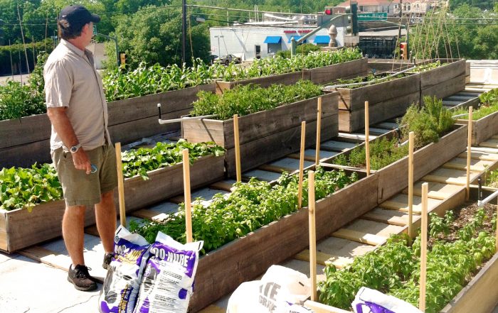 The Corner Market rooftop garden