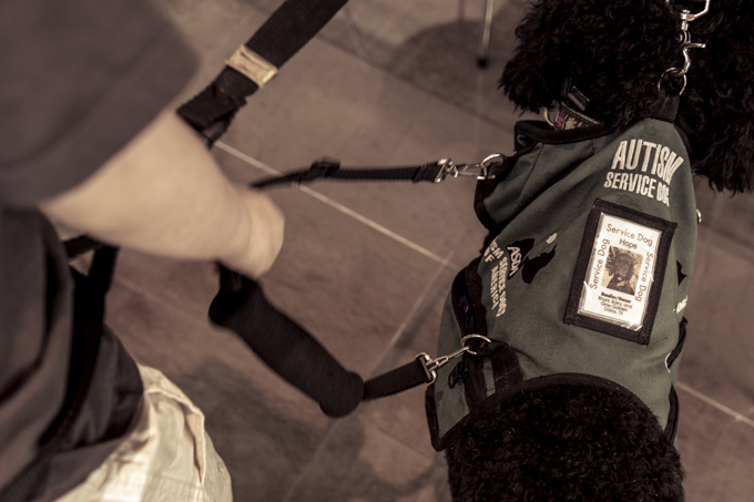 Where Gray Golden, a 7-year-old boy with severe autism, goes, so does his service dog, Hope. Photo by Danny Fulgencio 