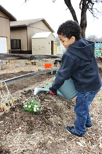 Kaden Ballard waters the garden at Sanger Elementary, which is growing into a middle school. Modular buildings will act as classrooms until funding is allocated for a new wing: Photo by Patty Bates-Ballard