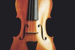 Violin: stock photo