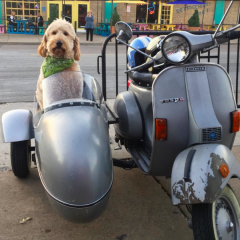 The Vespa from Kyle's Scooter Shop in East Dallas (photo from Instagram)
