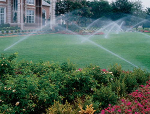 $39.95 Lawn Sprinkler System Check and Programming