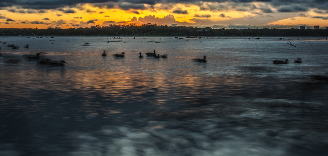 Sunset Bay at White Rock Lake. (Photo by Danny Fulgencio)