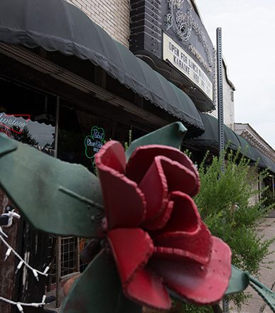 San Francisco Rose (Photo by Rasy Ran)