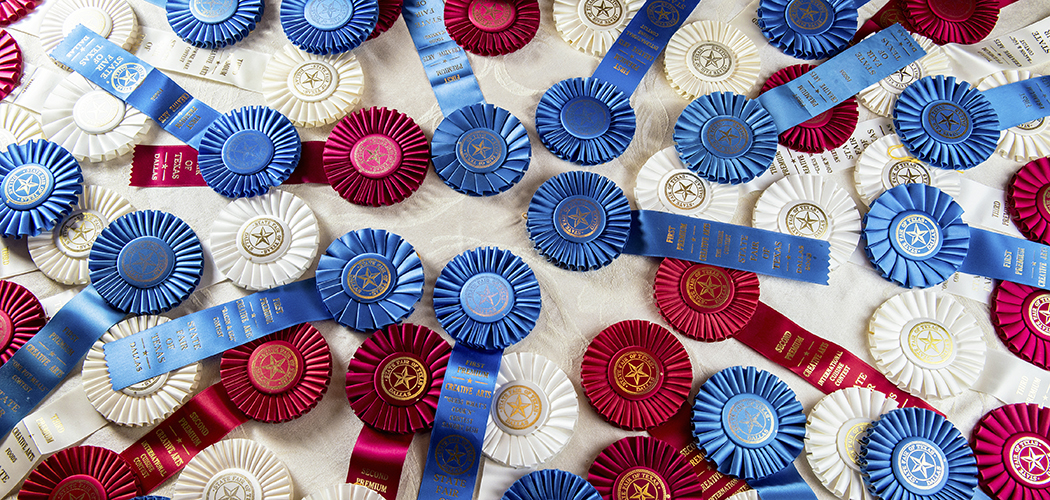 Betty McKnight has an overflowing box of state fair ribbons at home. (Photos by Danny Fulgencio) 