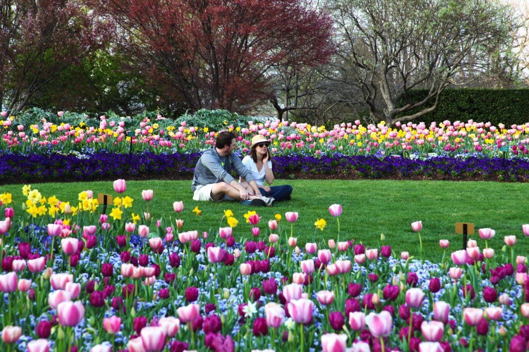 Dallas Blooms at the Arboretum celebrates spring and this year has the theme "Peace, Love and Flower Power."
