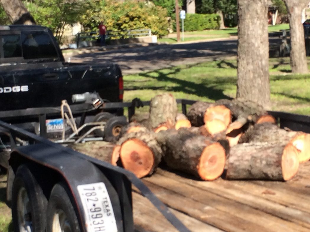 The suspected planned to steal the park's pecan wood, which is now in the possession of One90 Smoked Meas. (Photo by Amy Martin)