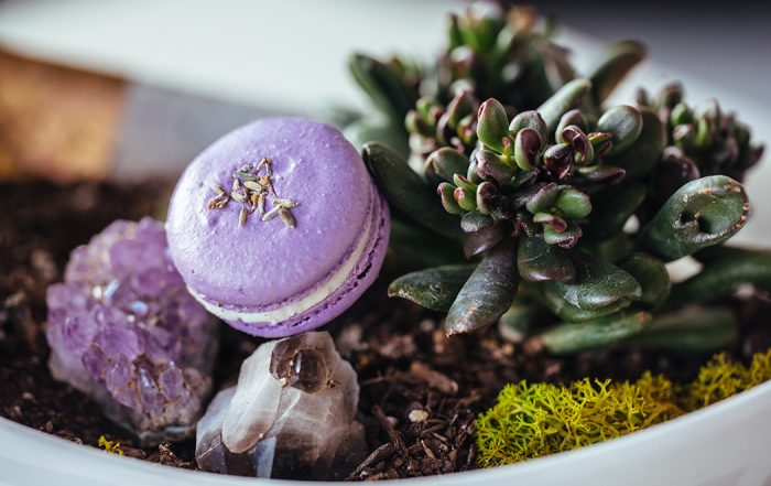 Savor Patisserie’s holiday macarons are both tasty and beautiful. (Photo by Kathy Tran)
