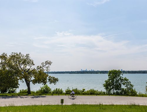 The White Rock Lake Task Force has kept an eye on the park for 25 years