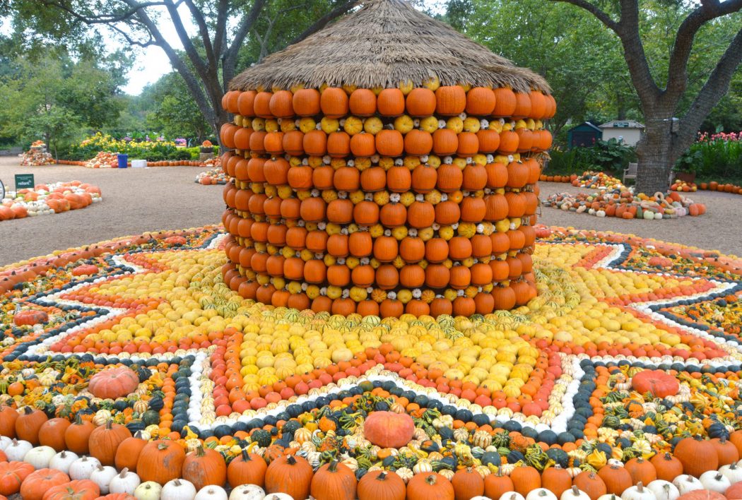 A geometric display of orange, yellow and white pumpkins.
