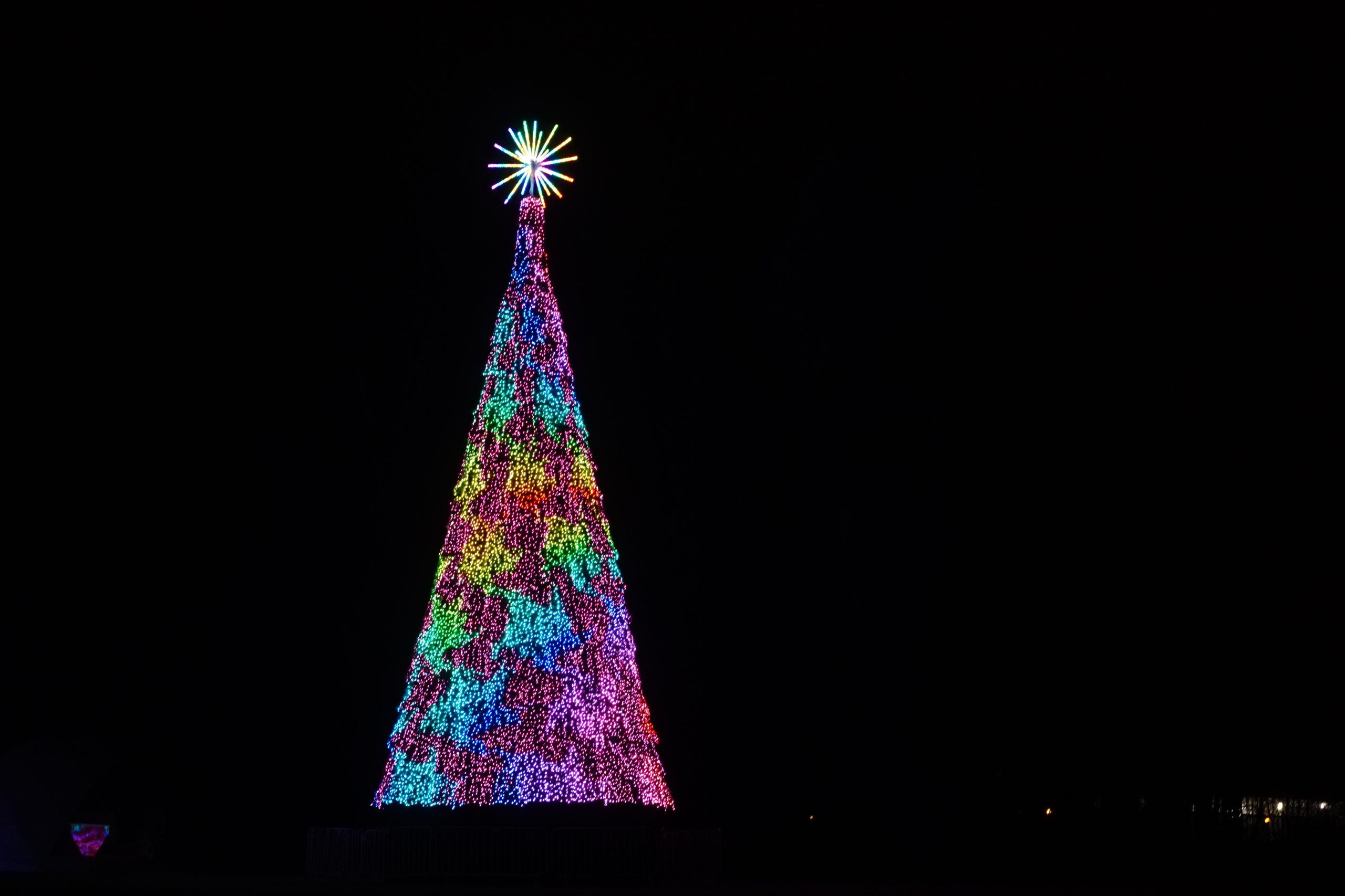 Musical Christmas tree at the Dallas Arboretum