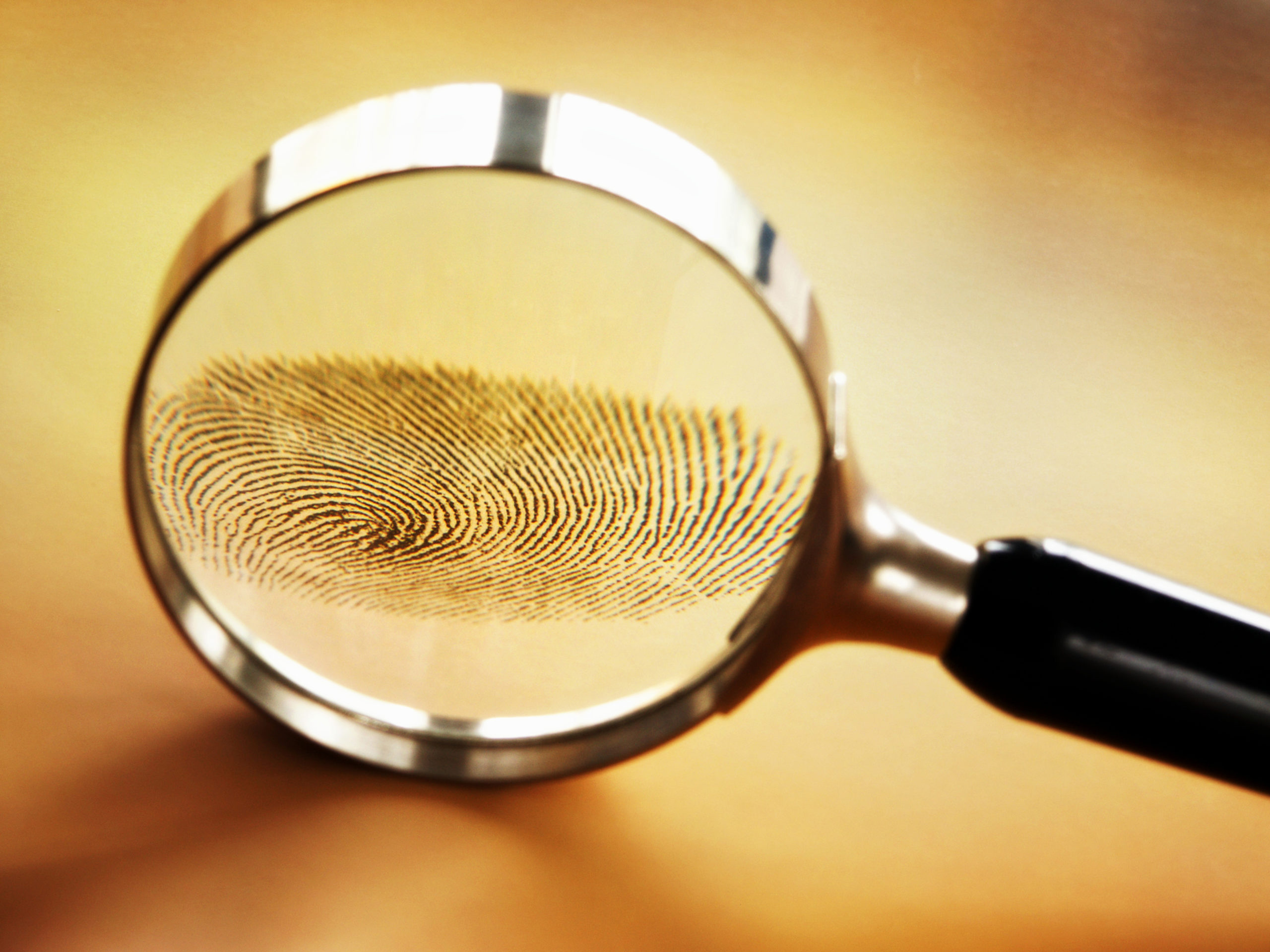 Magnifying glass and fingerprint