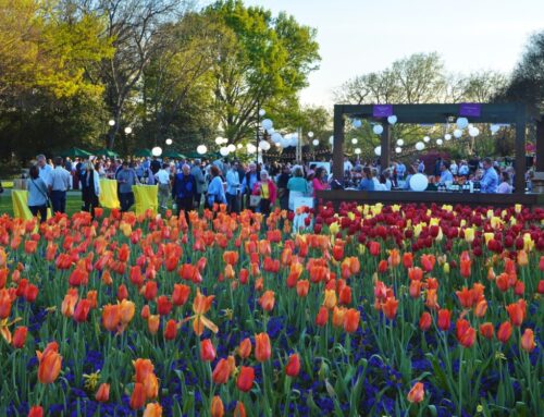 Dallas Arboretum and Botanical Garden’s annual Food & Wine Festival slated for March 26