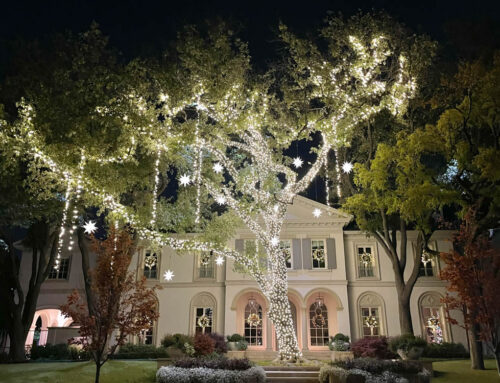 The Pattons are Lakewood’s Christmas royalty