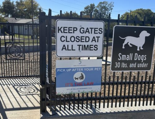 Check out the new dog park at Lakeland Hills Park