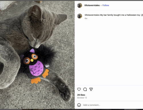 Local pub grieves loss of bar cat