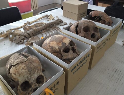 Texas A&M College of Dentistry professor appears on ‘Ancient Aliens’ episode