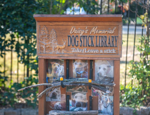 East Dallas family creates Daisy’s Memorial Dog Stick Library near White Rock Lake