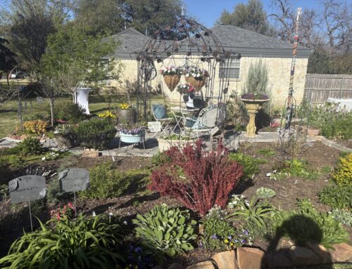 White Rock East Garden Tour celebrates 25 years