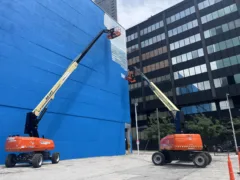 KERA: World Cup v. Whales: Why the removal of a Dallas mural has caused such a stir
