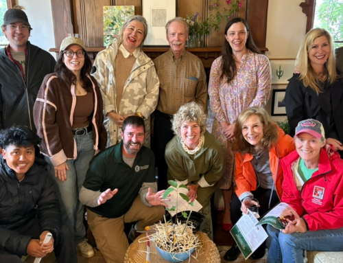 Cochran Heights receives trees to plant in their neighborhood