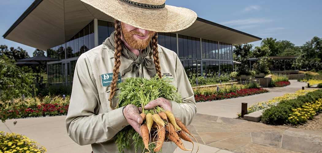 Preston Willms is an East Dallas native who oversees the garden as horticulture manager. (Photo by Danny Fulgencio).