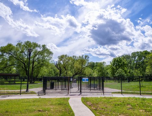 White Rock Lake Dog Park to close for spring maintenance