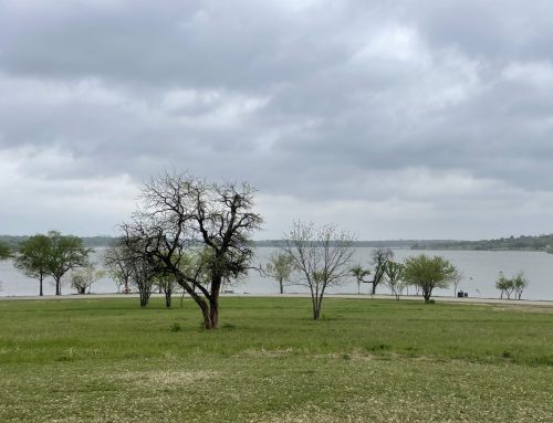 Prairie areas at White Rock Lake to be treated with herbicide